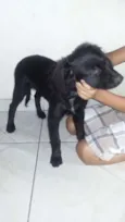 ainda não tem