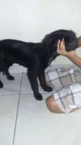 ainda não tem