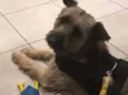 Frederico
