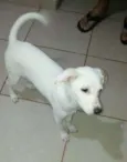 Kiara