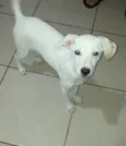 Kiara