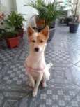 Lessy
