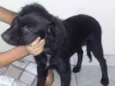ainda não tem