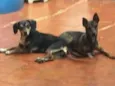 Sophie e Nina