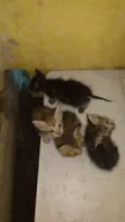Ainda não tem