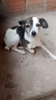 Teca