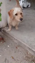 Nick