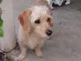 Nick