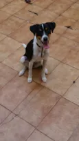 Mel
