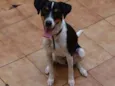 Mel