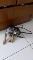 sem nome