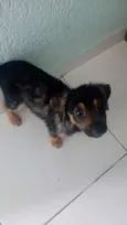 sem nome