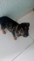 sem nome