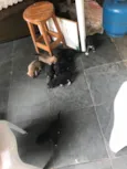 Lindos e lindas