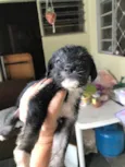 Lindos e lindas