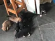 Lindos e lindas