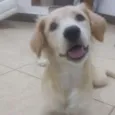 Lua