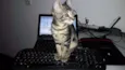 Tom