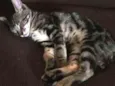 Tom
