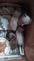 Nao dei nomes ainda