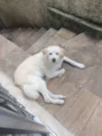 Bolt e laguertha