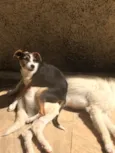 Bolt e laguertha