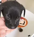 LULU