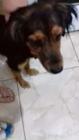 Mel