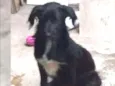 Baruch