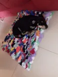 PENNY