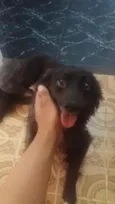 1,2,3,4,5,,6,7,8