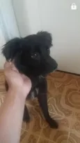 1,2,3,4,5,,6,7,8