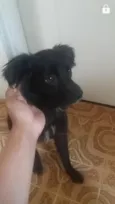 1,2,3,4,5,,6,7,8