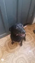 1,2,3,4,5,,6,7,8