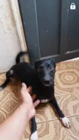 1,2,3,4,5,,6,7,8
