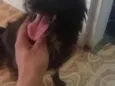 1,2,3,4,5,,6,7,8