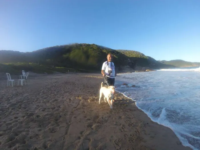 Cachorro ra a SRD idade 2 anos nome Buddy