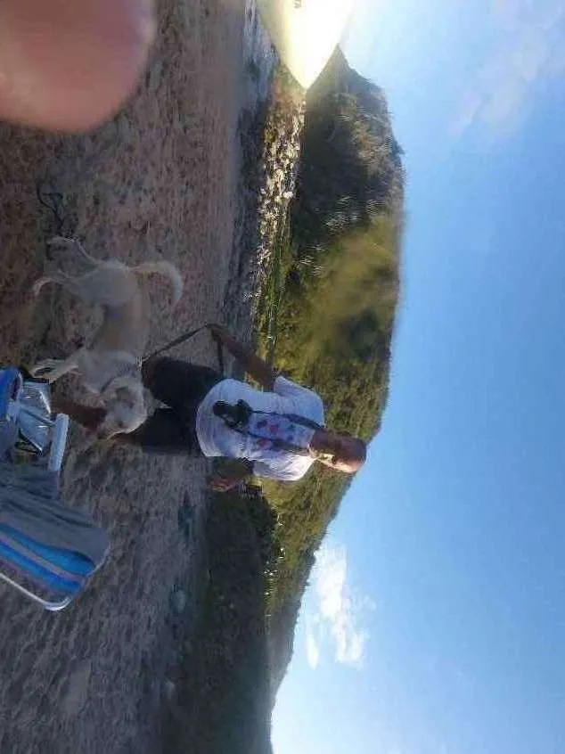 Cachorro ra a SRD idade 2 anos nome Buddy