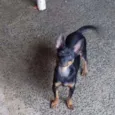 Tayrone e Lucky