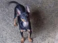 Tayrone e Lucky