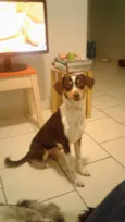 Rebeca