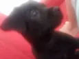 Frederico