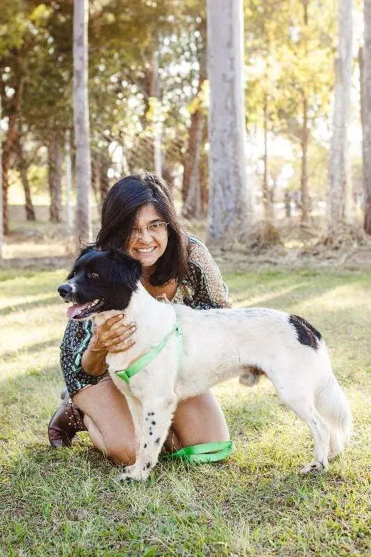 Cachorro raça Sem Raça Definida idade 2 anos nome Nick