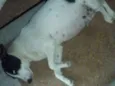 Nina