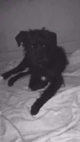Frederico