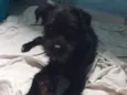 Frederico