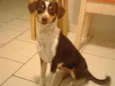 Rebeca