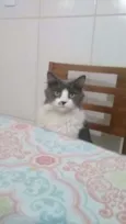 Getúlio 
