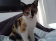 Jolie