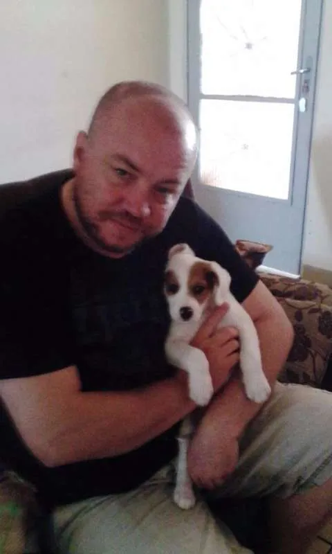 Cachorro ra a vira lata idade 1 ano nome bruce